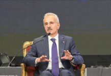 Türkiye–Mısır deniz ticareti güçleniyor: Kahire konteyner taşımacılığında zirvede